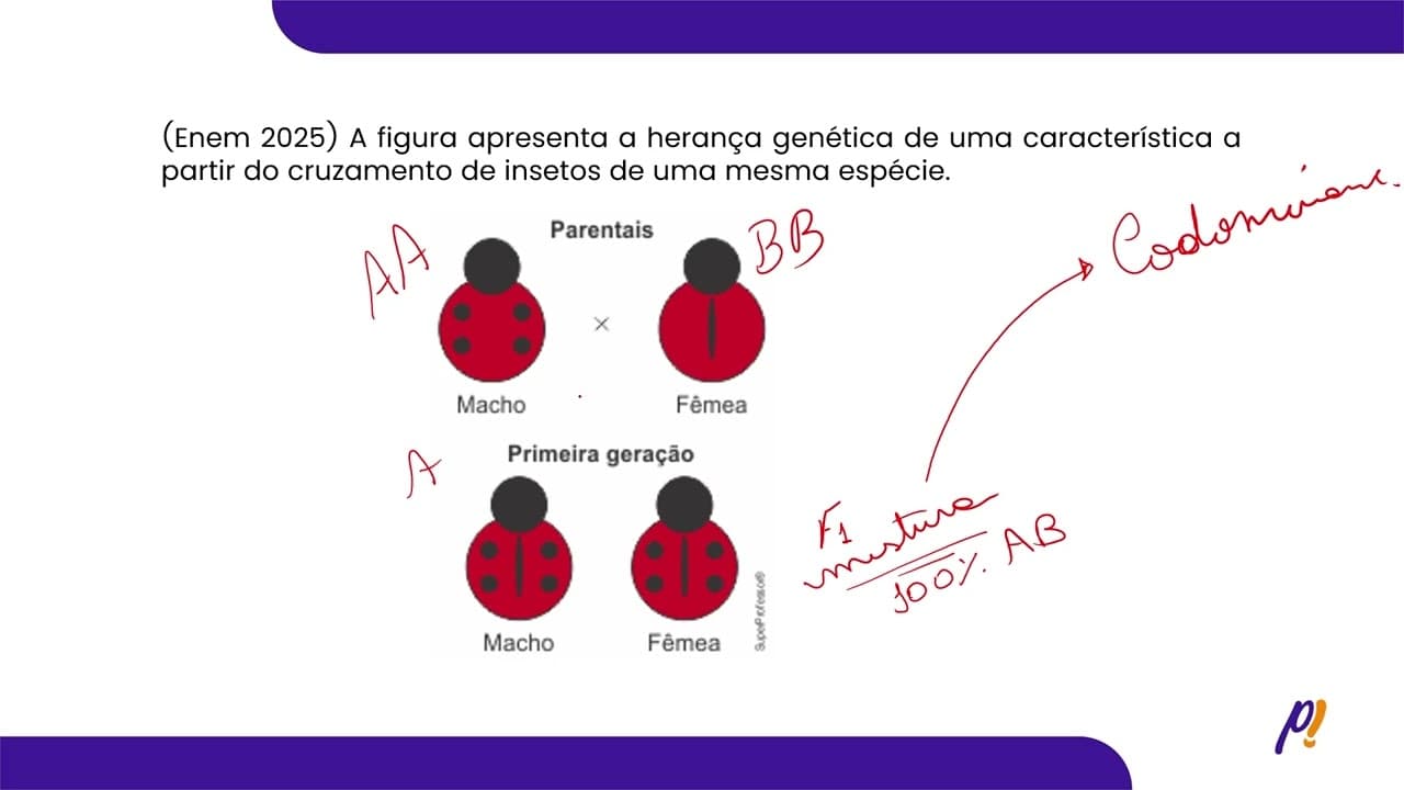 Thumbnail: ENEM 2025 | A figura apresenta a herança genética de uma característica a partir...
