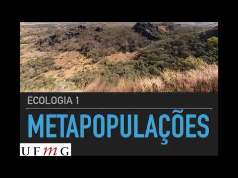 Thumbnail da aula: Ecologia 1 - Metapopulações UFMG