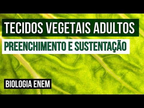 Thumbnail da aula: TECIDOS VEGETAIS ADULTOS: preenchimento e sustentação | Biologia para o Enem | Cláudia  Souza Aguiar