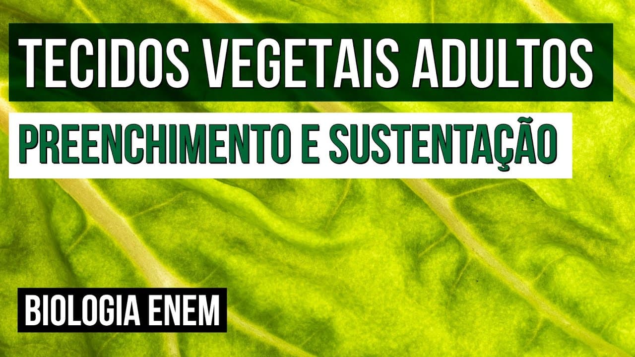 Thumbnail: TECIDOS VEGETAIS ADULTOS: preenchimento e sustentação | Biologia para o Enem | Cláudia  Souza Aguiar
