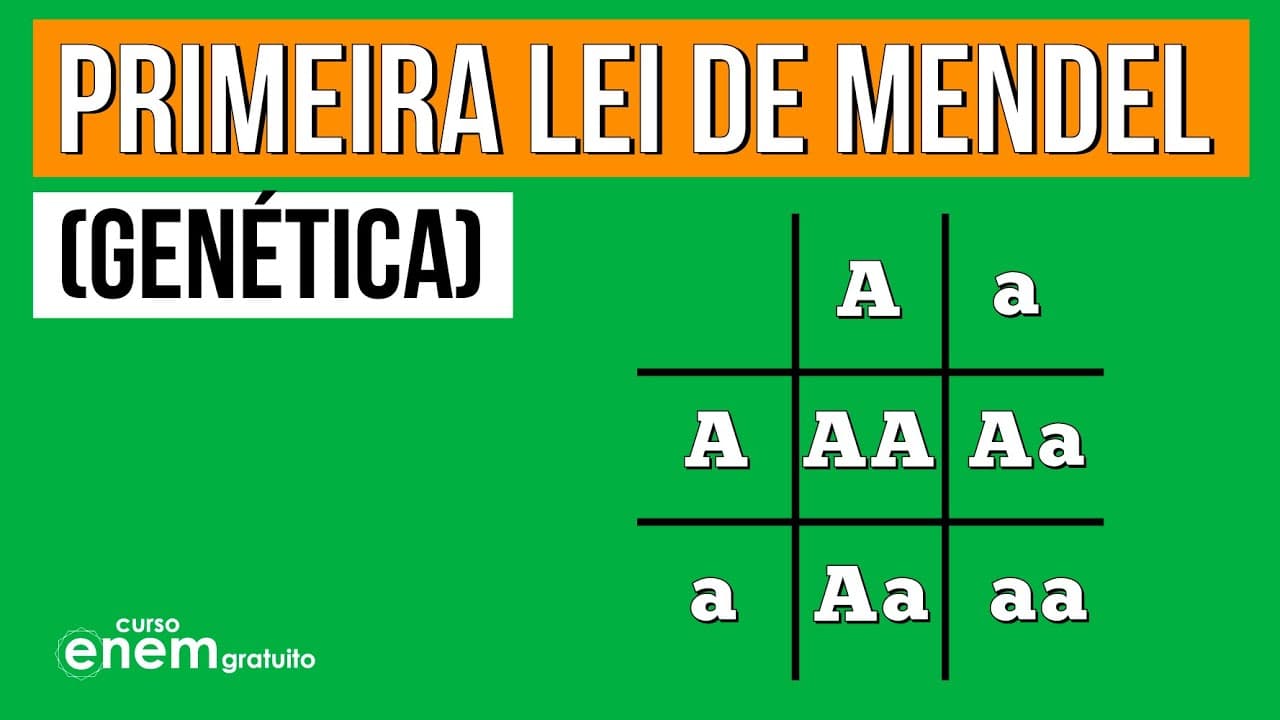 Thumbnail: PRIMEIRA LEI DE MENDEL | GENÉTICA.. Resumo de Biologia Enem. Profe. Juliana Evelyn Santos