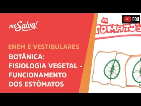 Thumbnail da aula: Me Salva! BOT28 - Botânica - Fisiologia vegetal: funcionamento dos estômatos