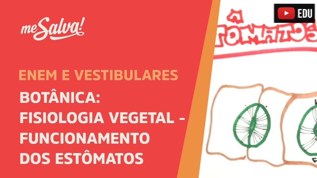 Thumbnail: Me Salva! BOT28 - Botânica - Fisiologia vegetal: funcionamento dos estômatos