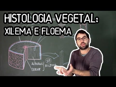 Thumbnail da aula: Histologia Vegetal: Tecidos de Condução de Seiva - Aula 14 - Módulo V: Botânica (Prof. Guilherme)