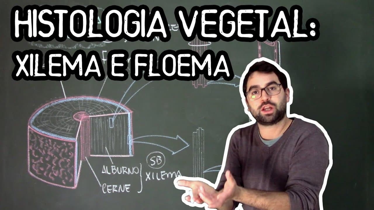 Thumbnail: Histologia Vegetal: Tecidos de Condução de Seiva - Aula 14 - Módulo V: Botânica (Prof. Guilherme)