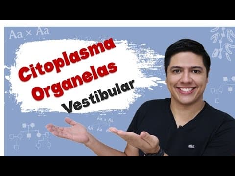 Thumbnail da aula: Vestibular Biologia - Organelas - Citoplasma - Prof. Kennedy Ramos