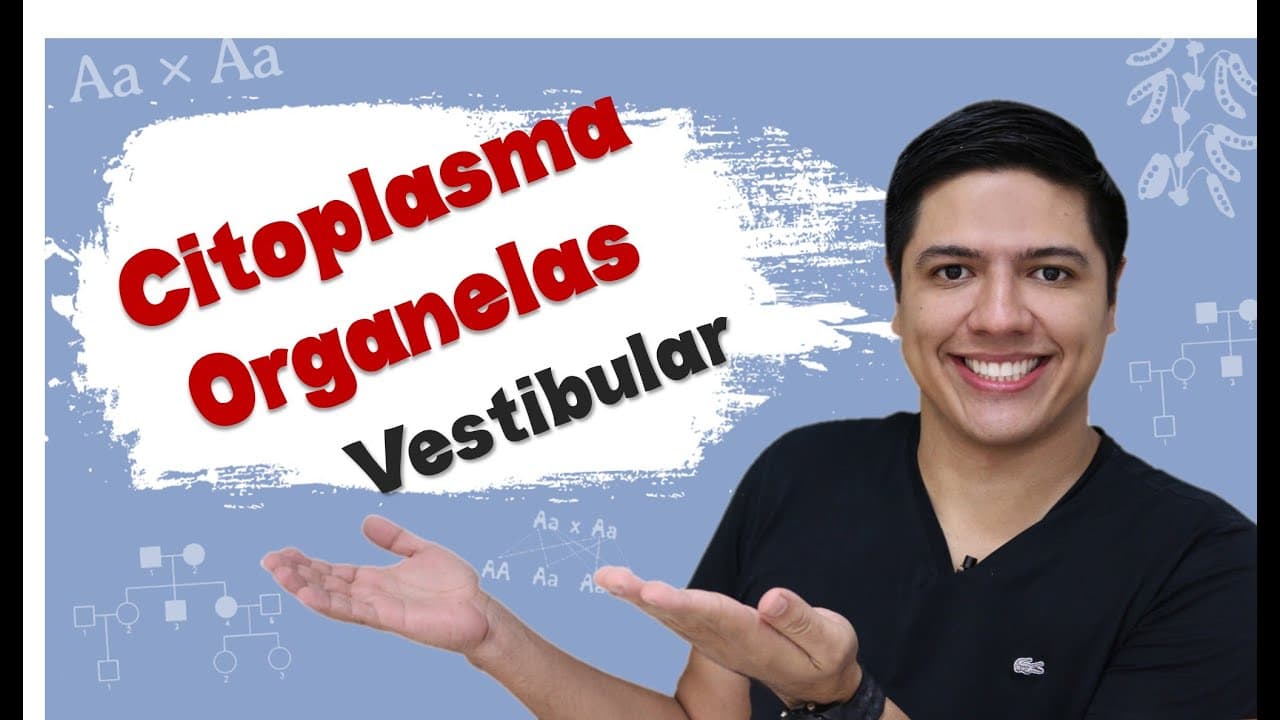 Thumbnail: Vestibular Biologia - Organelas - Citoplasma - Prof. Kennedy Ramos
