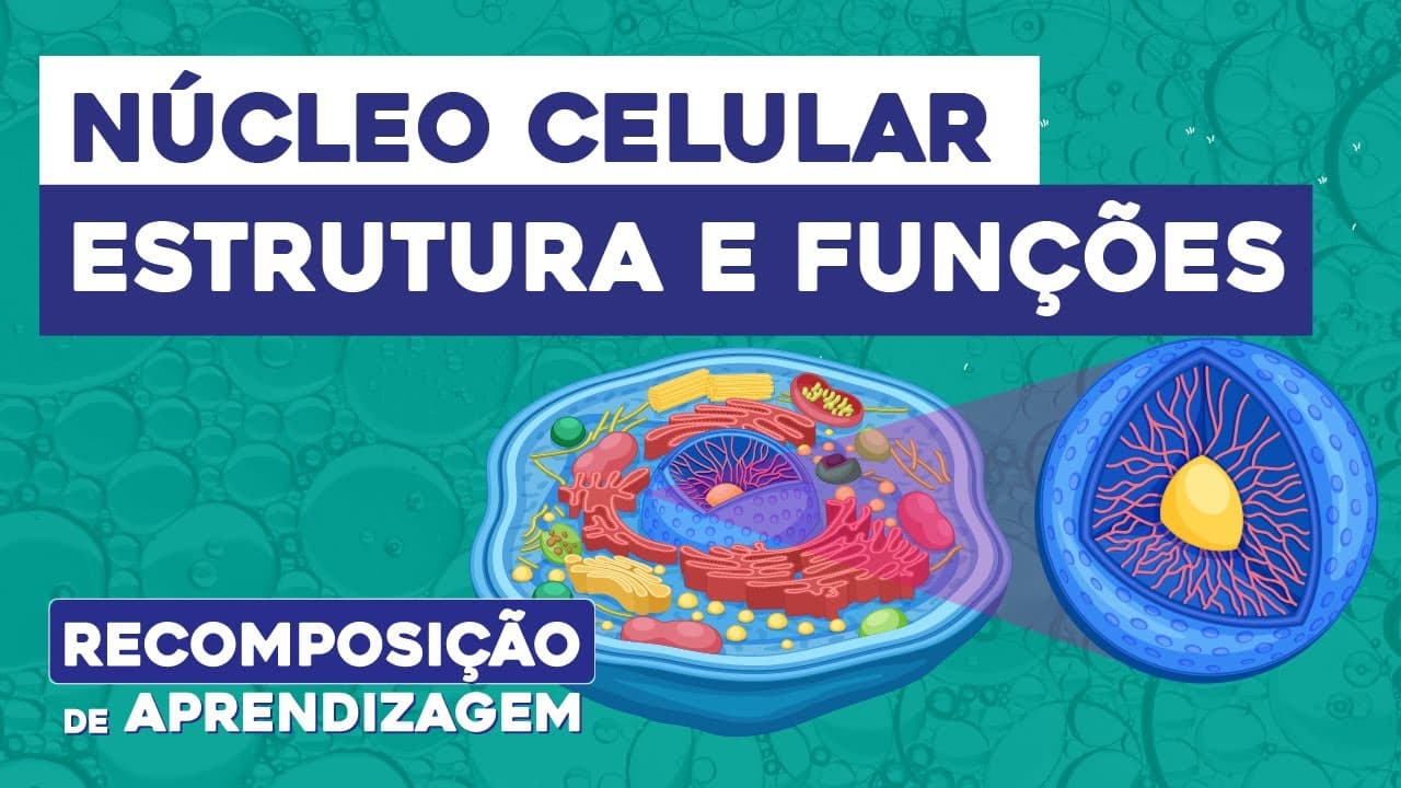 Thumbnail: NÚCLEO CELULAR: estrutura e funções | Biologia | Recomposição de Aprendizagem | Cláudia Souza Aguiar