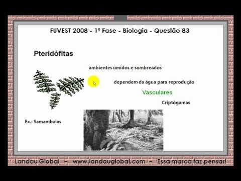 Thumbnail da aula: USP_2008_BIO_P1_Q83