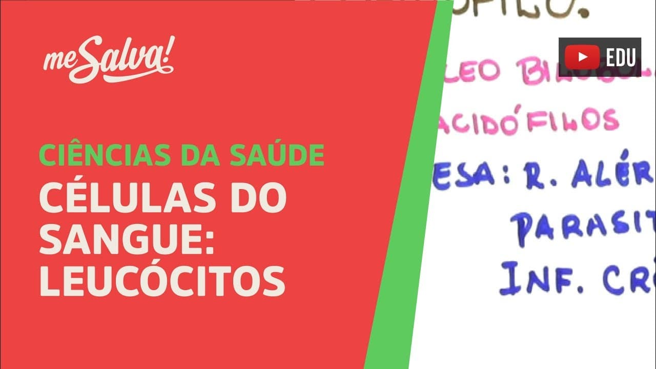 Thumbnail: Me Salva! CSH02 - Células do Sangue: Leucócitos - Histologia Humana