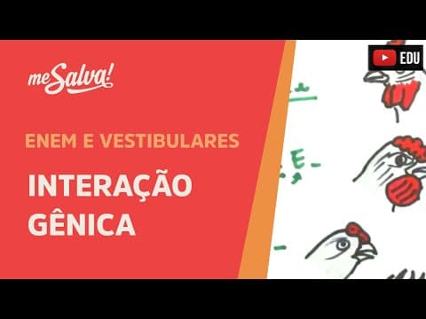 Thumbnail da aula: Me Salva! GEN27 - Genética - Interação gênica