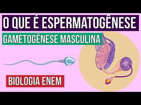 Thumbnail da aula: GAMETOGÊNESE MASCULINA: o que é espermatogênese | Resumo de Biologia para o Enem | Claudia Aguiar
