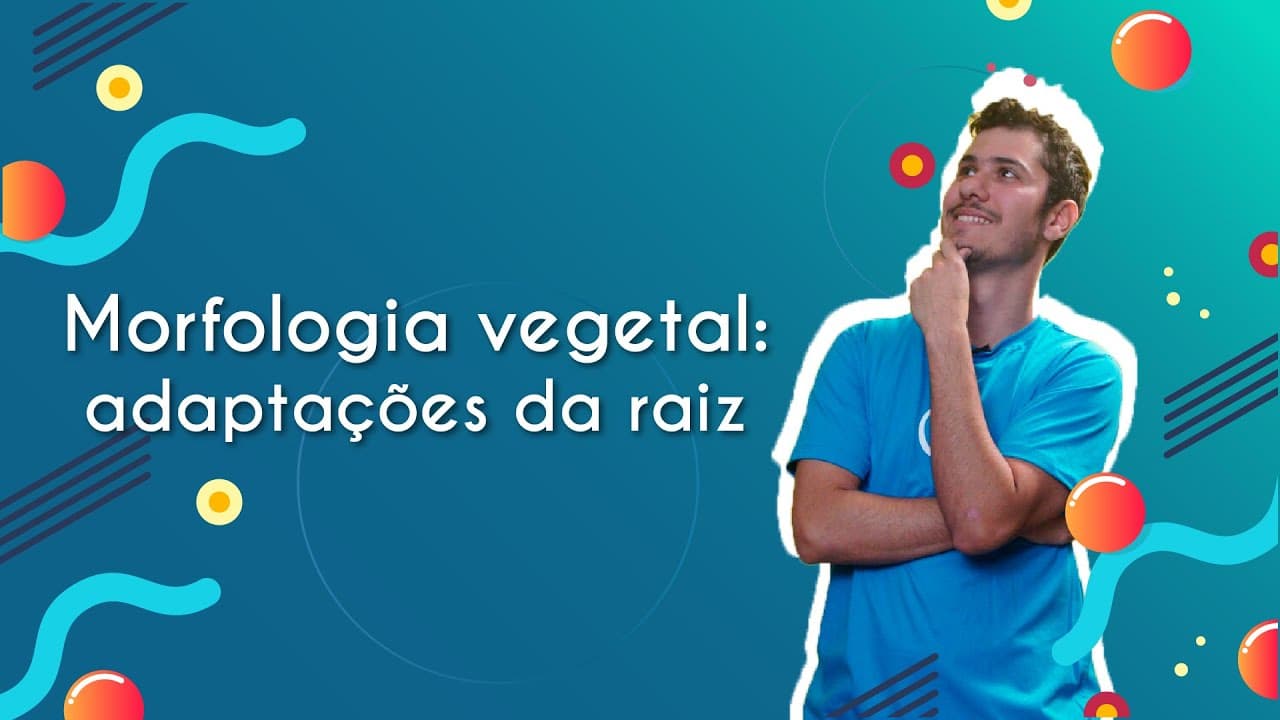 Thumbnail: Morfologia vegetal: adaptações da raiz - Brasil Escola