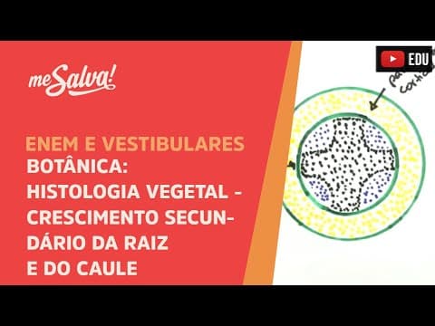 Thumbnail da aula: Me Salva! BOT21 - Botânica - Histologia vegetal: crescimento secundário da raíz e do caule