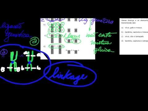 Thumbnail da aula: unicamp 2013 1 fase q19 26 biologia