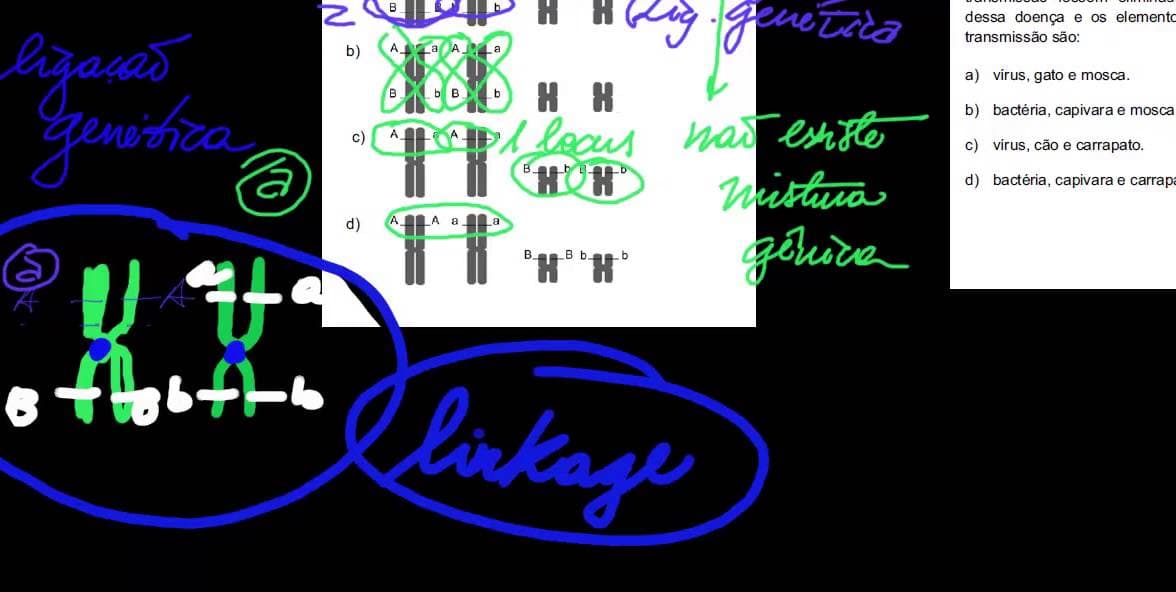 Thumbnail: unicamp 2013 1 fase q19 26 biologia