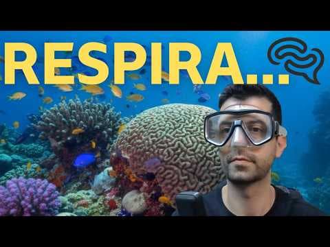 Thumbnail da aula: UNIFESP 2024 - Q12 - Um mergulhador e seu equipamento, que totalizam 90 kg, estão em repouso