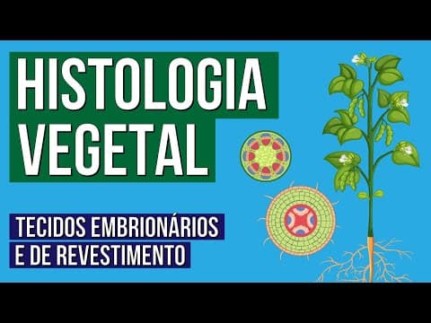 Thumbnail da aula: HISTOLOGIA VEGETAL: tecidos embrionários e de revestimento | Biologia para o Enem | Cláudia Aguiar