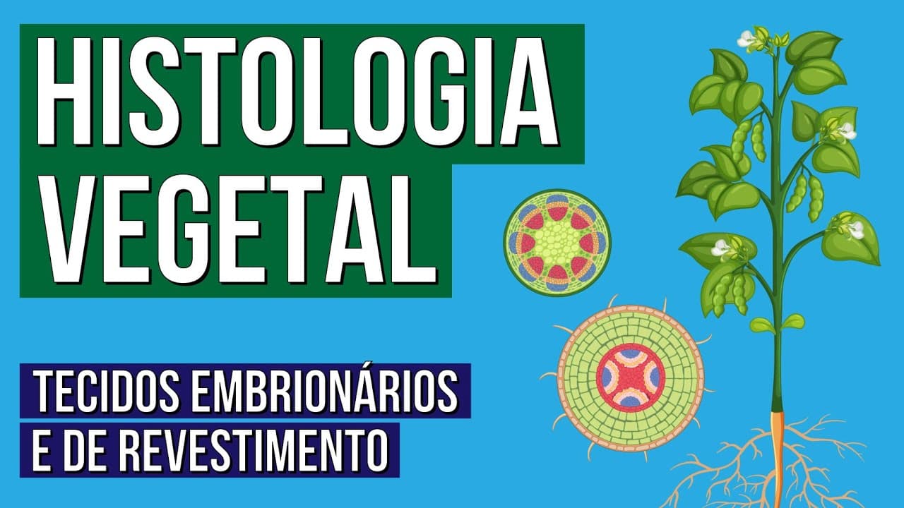 Thumbnail: HISTOLOGIA VEGETAL: tecidos embrionários e de revestimento | Biologia para o Enem | Cláudia Aguiar