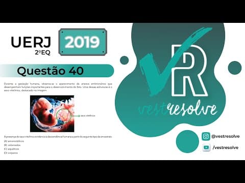 Thumbnail da aula: Biologia - Uerj 2019 2EQ - Questão 40