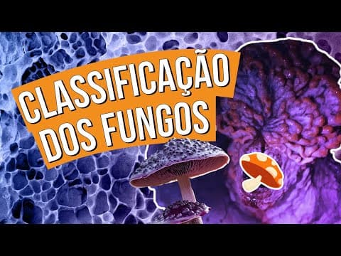 Thumbnail da aula: REINO FUNGI: conheça a classificação dos fungos | Biologia para o Enem | Cláudia de Souza Aguiar