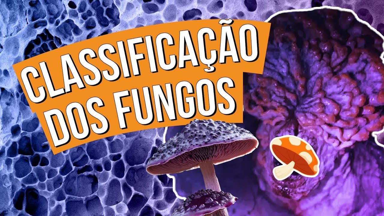Thumbnail: REINO FUNGI: conheça a classificação dos fungos | Biologia para o Enem | Cláudia de Souza Aguiar