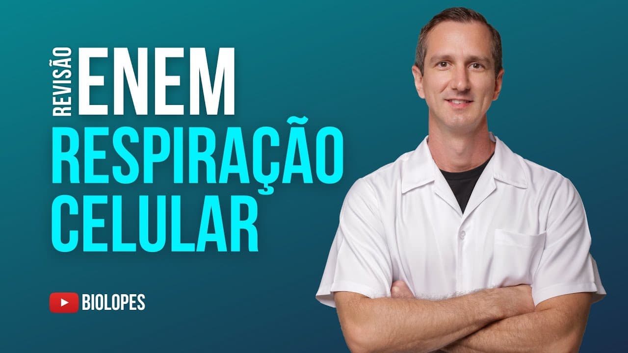 Thumbnail: ENEM 2022 – Os ursos, por não apresentarem uma hibernação verdadeira, acordam por causa da presença