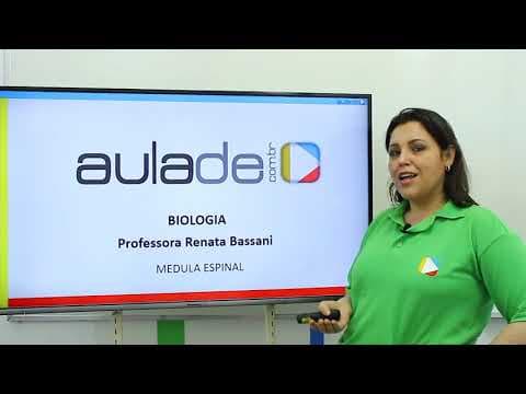 Thumbnail da aula: Biologia - Sistema Nervoso Central: Medula Espinal