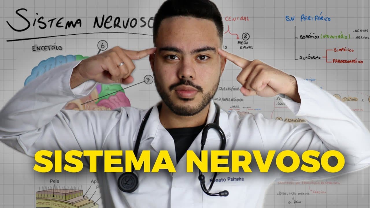 Thumbnail: 🧠 SISTEMA NERVOSO: O que você PRECISA saber para o ENEM!
