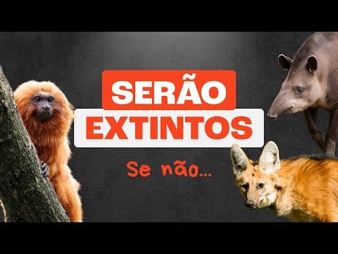 Thumbnail da aula: Animais Incríveis À Beira da Extinção!