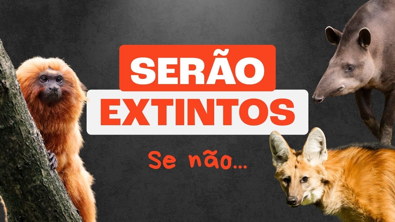 Thumbnail: Animais Incríveis À Beira da Extinção!
