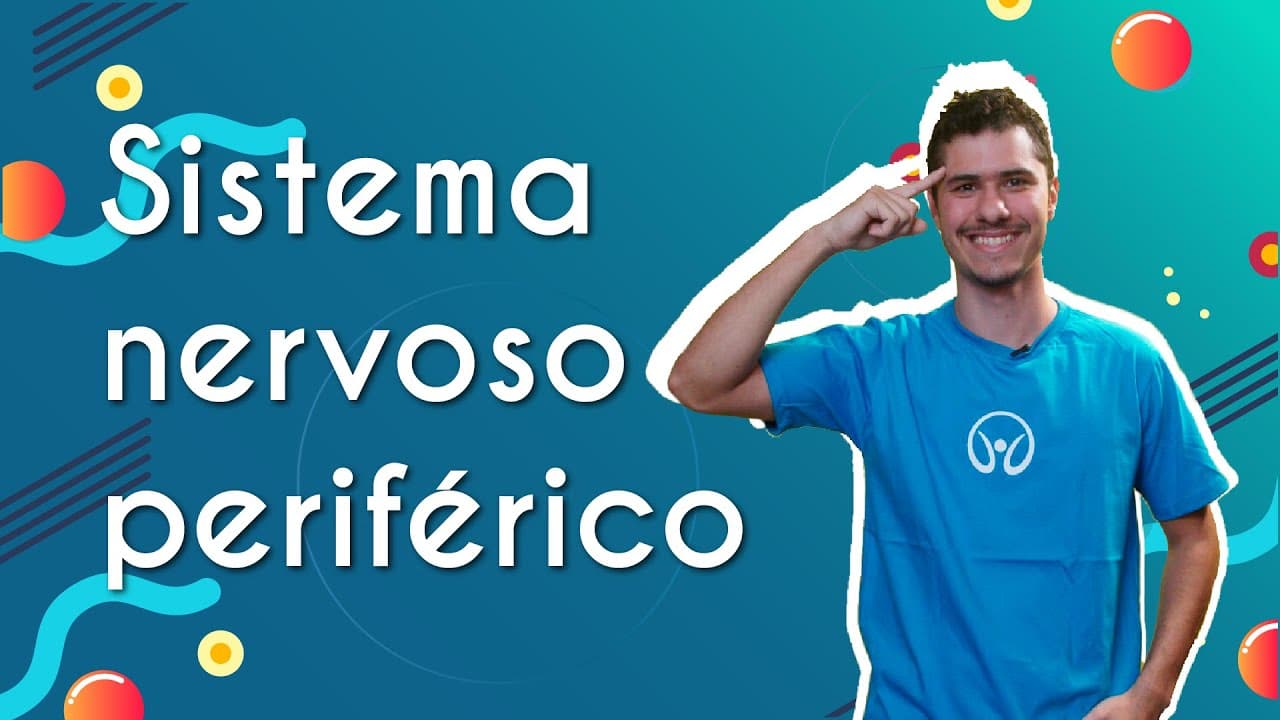 Thumbnail: Sistema nervoso periférico - Brasil Escola