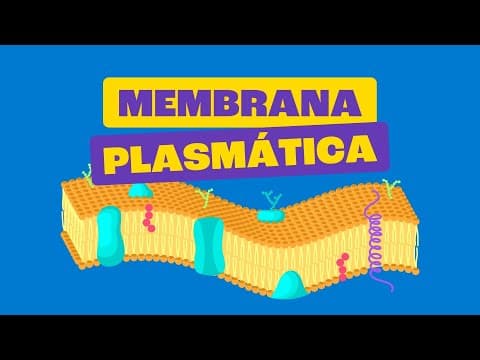 Thumbnail da aula: Membrana Plasmática - Toda Matéria