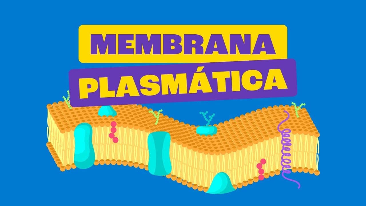Thumbnail: Membrana Plasmática - Toda Matéria