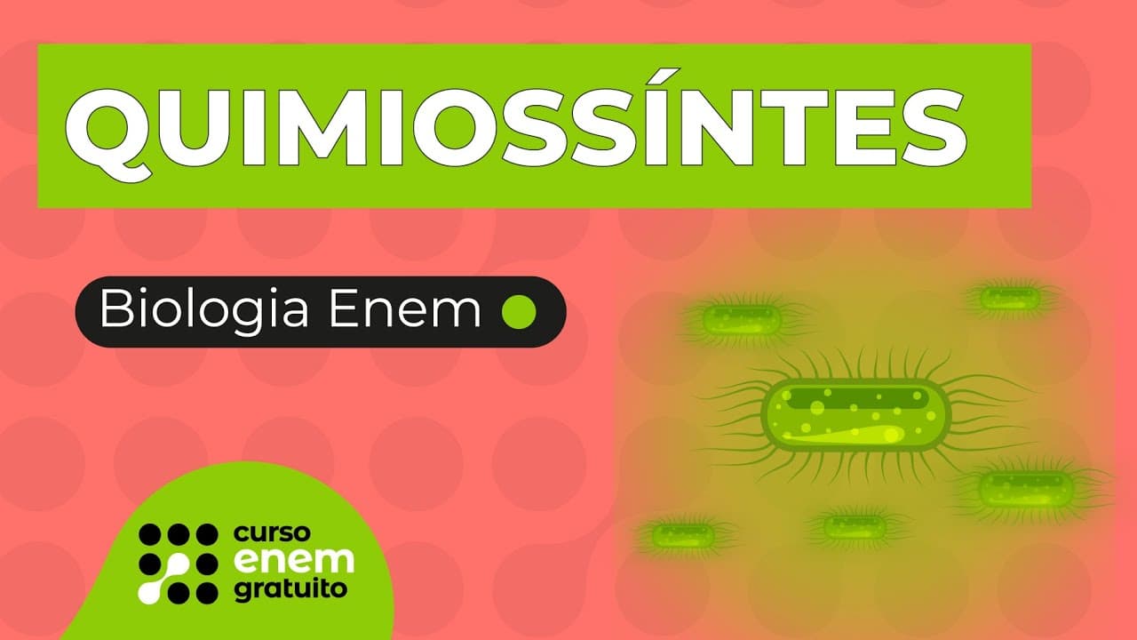 Thumbnail: QUIMIOSSÍNTESE | Biologia para o Enem | Cláudia de Souza Aguiar