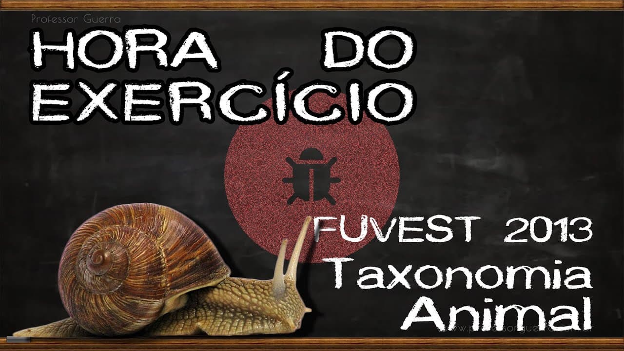 Thumbnail: Taxonomia animal - FUVEST 2013