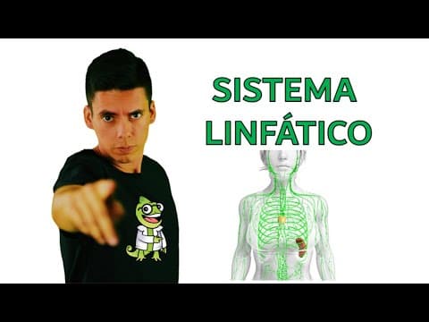 Thumbnail da aula: Sistema linfático - Resumo Professor Gustavo Schmidt