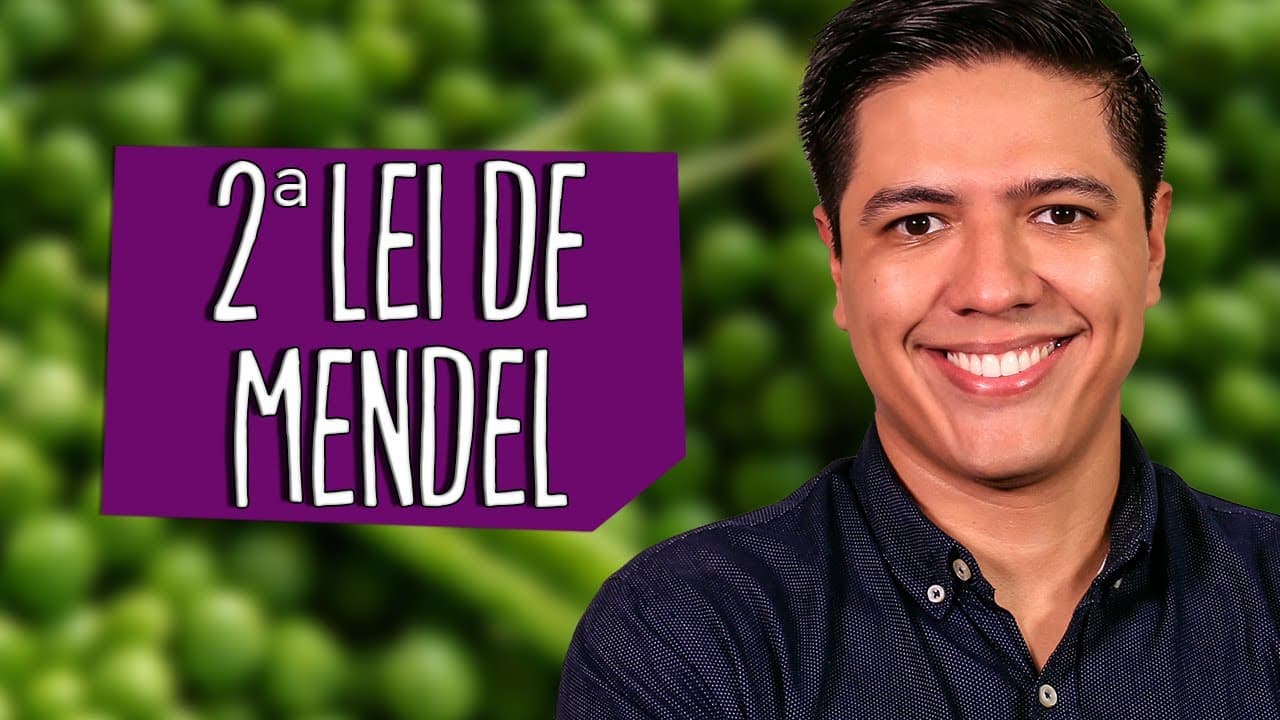 Thumbnail: 2ª LEI DE MENDEL - GENÉTICA - Prof. Kennedy Ramos