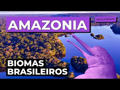 Thumbnail da aula: BIOMAS BRASILEIROS: Amazônia | Biologia para o Enem e o Encceja | Cláudia de Souza Aguiar