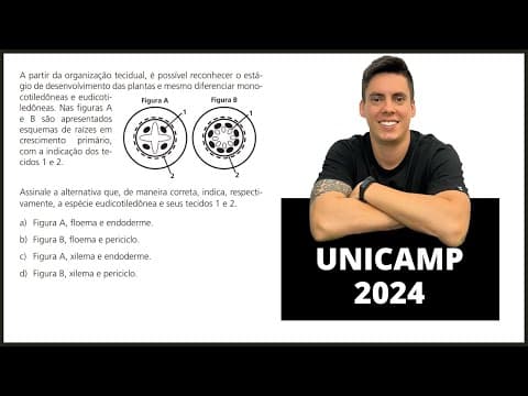 Thumbnail da aula: Biologia UNICAMP 2024! "A partir da organização tecidual, é possível reconhecer o estágio...!