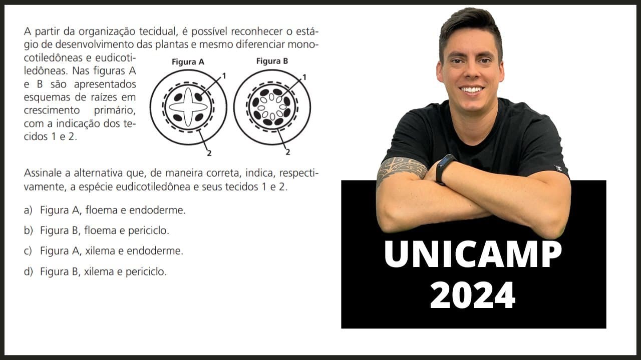 Thumbnail: Biologia UNICAMP 2024! "A partir da organização tecidual, é possível reconhecer o estágio...!