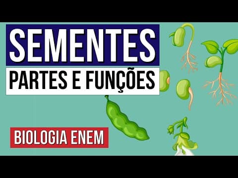 Thumbnail da aula: SEMENTES: partes e funções | Resumo de Biologia para o Enem | Cláudia de Souza Aguiar