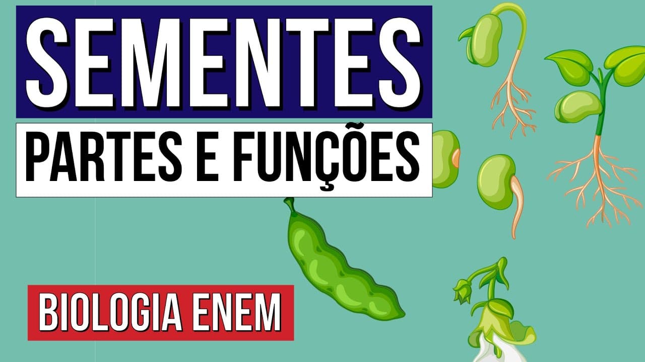Thumbnail: SEMENTES: partes e funções | Resumo de Biologia para o Enem | Cláudia de Souza Aguiar