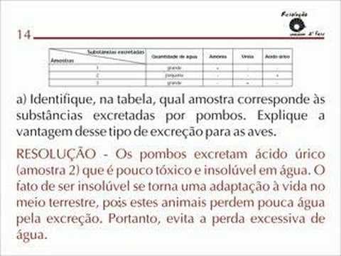 Thumbnail da aula: BIO 01, 02 E 03 Resolução UNICAMP 2ª Fase