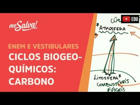 Thumbnail da aula: Me Salva! ECO26 - Ecologia - Ciclos biogeoquímicos: carbono