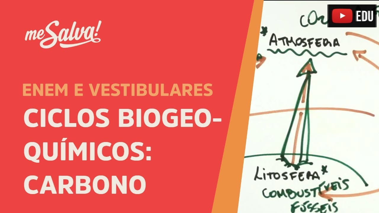 Thumbnail: Me Salva! ECO26 - Ecologia - Ciclos biogeoquímicos: carbono