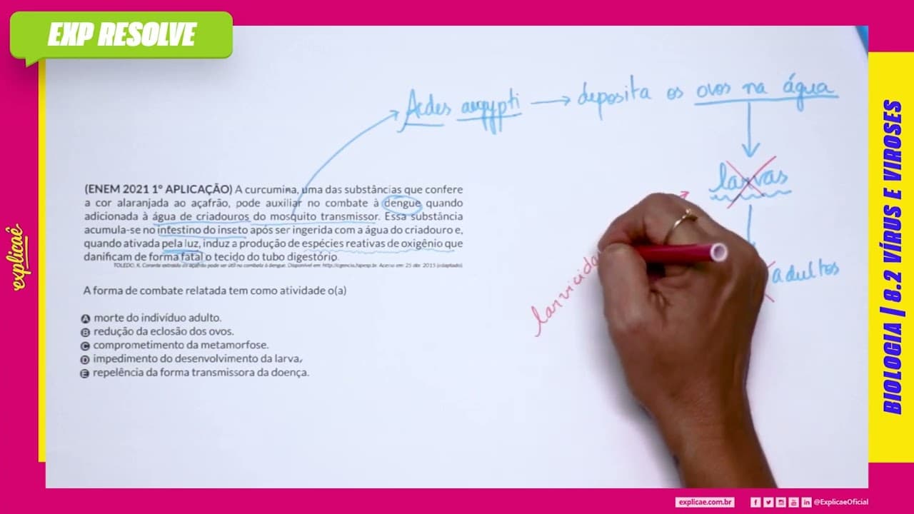 Thumbnail: A CURCUMINA, UMA DAS SUBSTÂNCIAS QUE CONFERE A COR ALARANJADA AO AÇAFRÃO(...) | VÍRUS E VIROSES