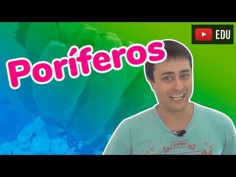 Thumbnail da aula: Poríferos - Reino Animalia (Zoologia) - Prof. Paulo Jubilut