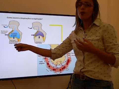 Thumbnail da aula: Exame de Qualificação UERJ - 2016.2- Biologia- Professora Juliana