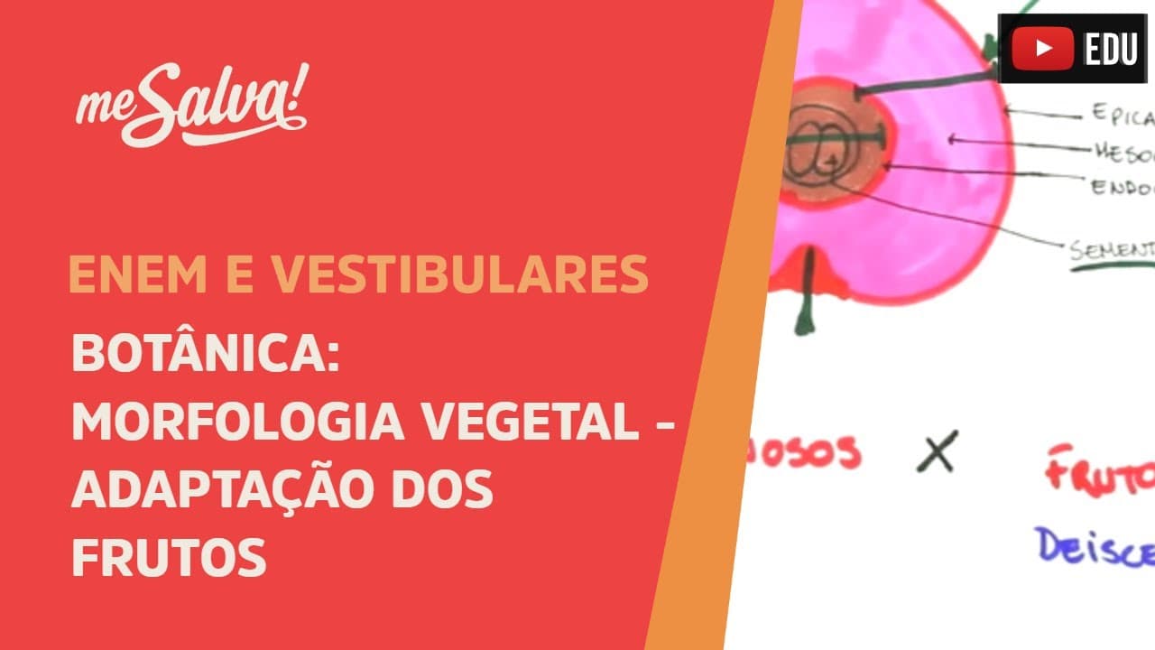 Thumbnail: Me Salva! BOT44 - Botânica - Morfologia vegetal: adaptações dos frutos I